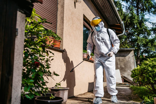 Best Residential Pest Control  in Taylor, TX