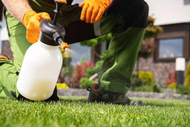 Best Emergency Pest Control  in Taylor, TX