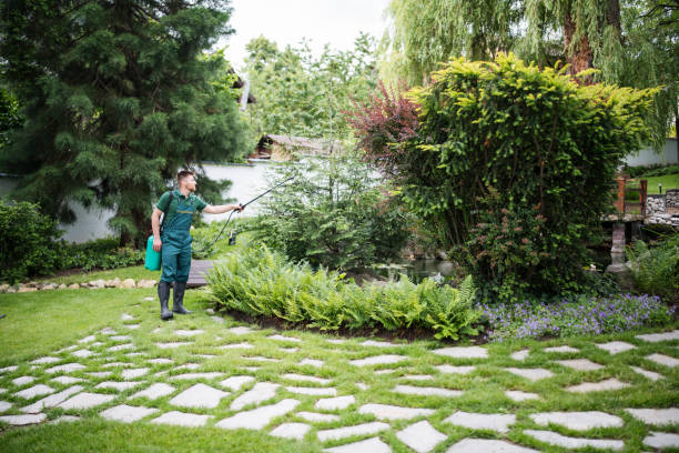 Best Mosquito Control Services  in Taylor, TX
