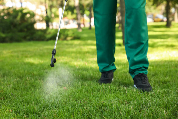 Reliable Taylor, TX Pest Control Solutions