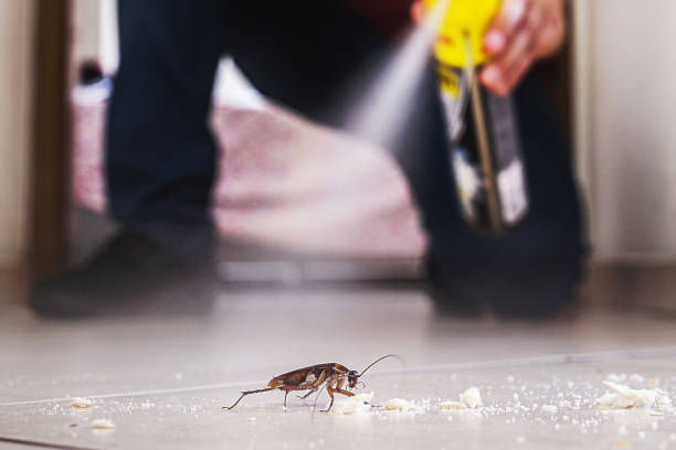 Best Best Pest Control Companies  in Taylor, TX