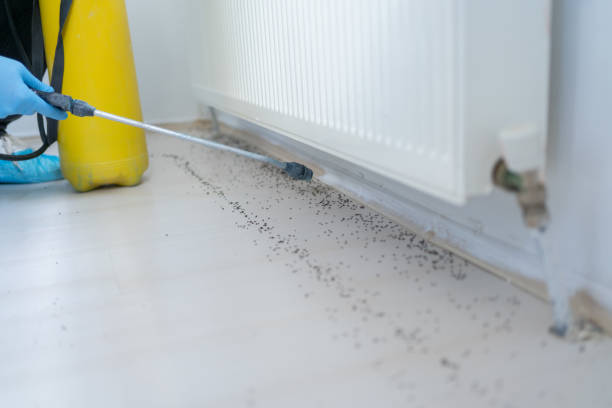 Best Best Pest Control Companies  in Taylor, TX